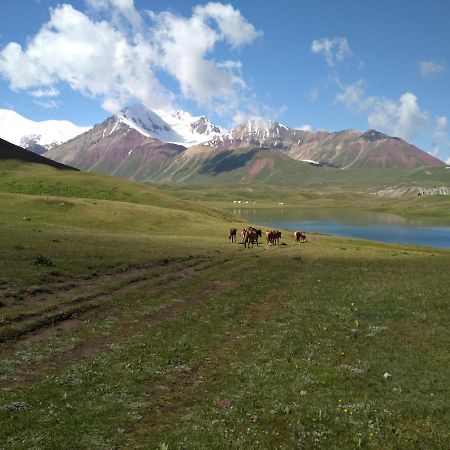ホテル Pamir Nomad Yurt Camp Kara-Kavak エクステリア 写真