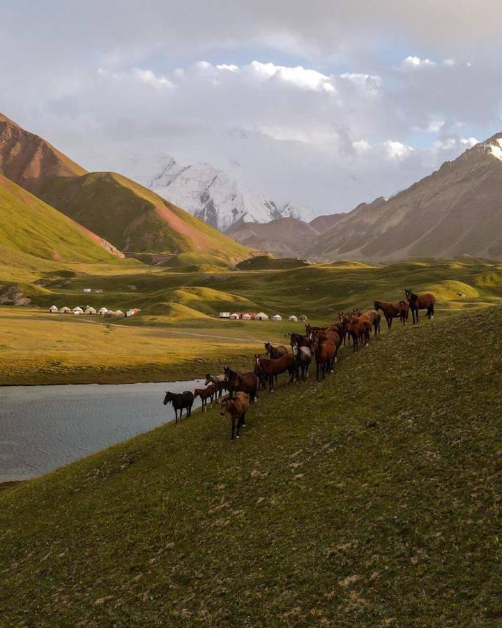 ホテル Pamir Nomad Yurt Camp Kara-Kavak エクステリア 写真