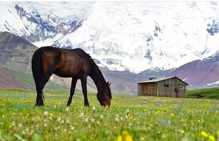 ホテル Pamir Nomad Yurt Camp Kara-Kavak エクステリア 写真